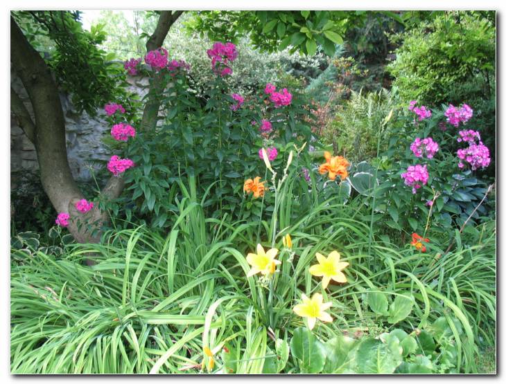 Maslenice in plamenke