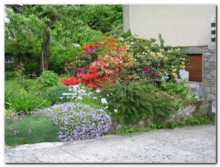 Skupina trajnic in rododendronov