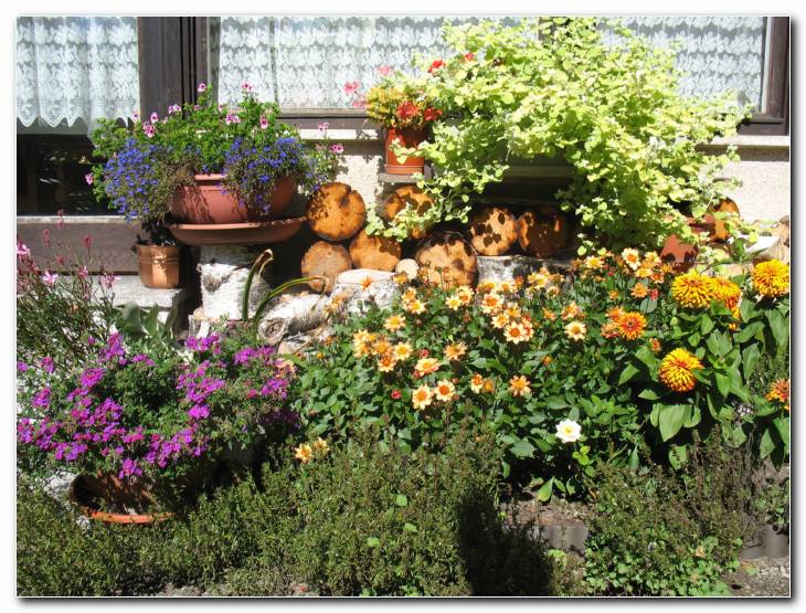 Poletna skupina posodovk in trajnic