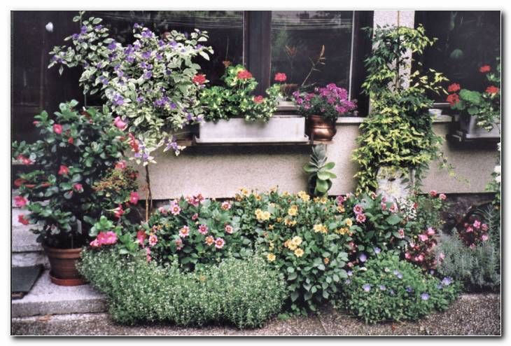 So�itje trajnic in posodovk