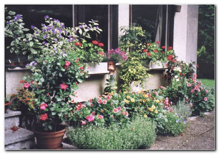 Poletni motiv iz drugega zornega kota