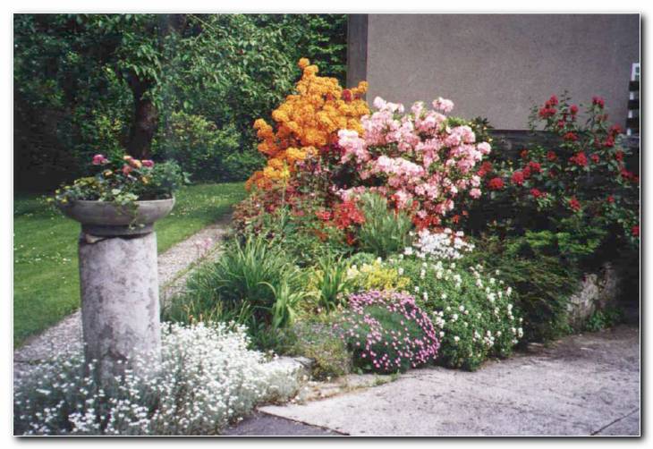 Spomladansko razko�je cvetov