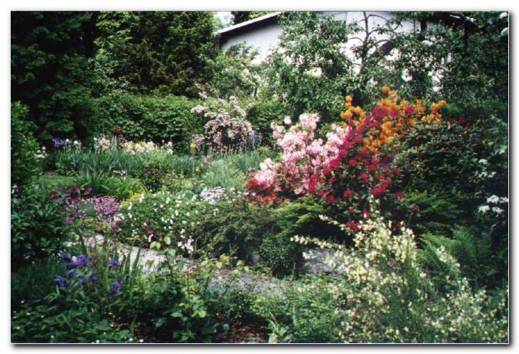 Spomladanski motiv iz razcvetelega vrta