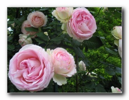 Kliknite za pove�avo slike