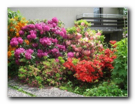 Kliknite za pove�avo slike