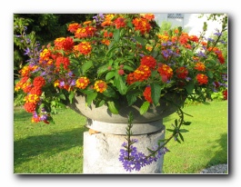 Kliknite za pove�avo slike