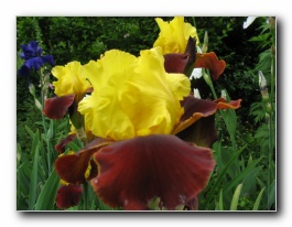 Kliknite za pove�avo slike