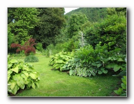 Kliknite za pove�avo slike