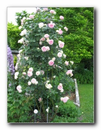 Kliknite za pove�avo slike