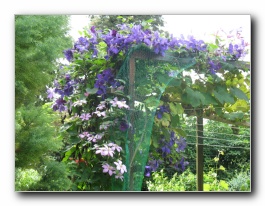 Kliknite za pove�avo slike