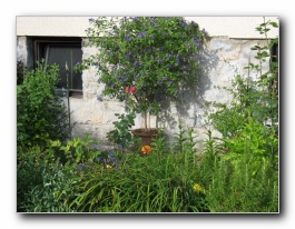 Kliknite za pove�avo slike