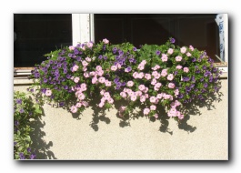 Kliknite za pove�avo slike