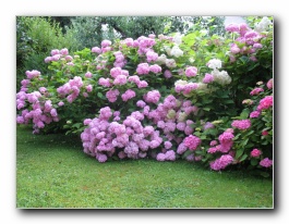 Kliknite za pove�avo slike