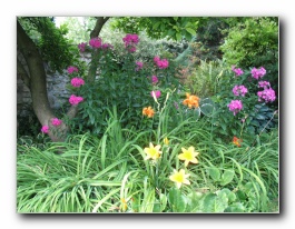 Kliknite za pove�avo slike