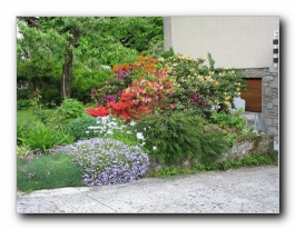 Kliknite za pove�avo slike