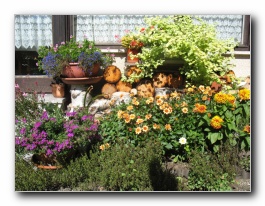 Kliknite za pove�avo slike