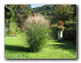 Kliknite za pove�avo slike