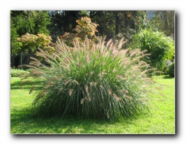 Kliknite za pove�avo slike