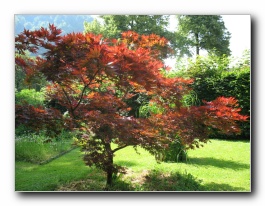 Kliknite za pove�avo slike