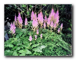 Kliknite za pove�avo slike