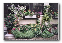 Kliknite za pove�avo slike