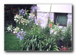 Kliknite za pove�avo slike