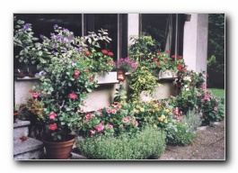 Kliknite za pove�avo slike