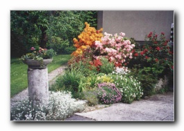 Kliknite za pove�avo slike