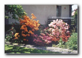 Kliknite za pove�avo slike