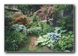 Kliknite za pove�avo slike