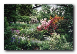 Kliknite za pove�avo slike