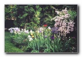 Kliknite za pove�avo slike