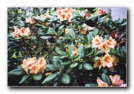 Kliknite za pove�avo slike