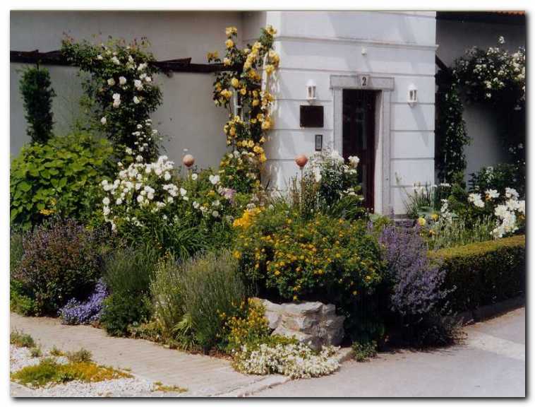 Cvetje trajnic in vrtnic se ujema po barvi,<br>teksturi, obliki in vonju.
