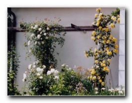 Kliknite za pove�avo slike