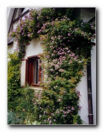 Kliknite za pove�avo slike