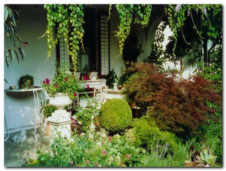 Bivalni vrt z okrasno trto, zadaj<br>kuhinjsko okno s prekrasnim pogledom