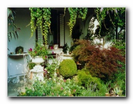 Kliknite za pove�avo slike