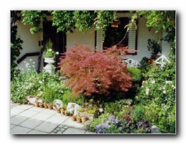 Kliknite za pove�avo slike