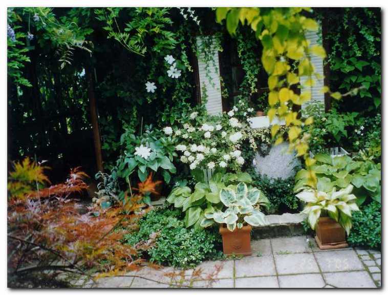 Hosti poudarjata majhen vodni motiv, ki v poleti<br>z �uborenjem vna�a sve�ino in hkrati pomirja.