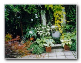 Kliknite za pove�avo slike