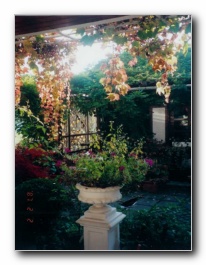 Kliknite za pove�avo slike