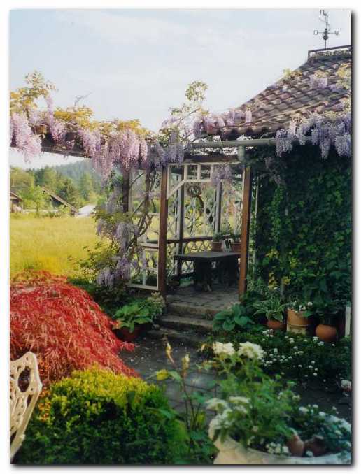 Po�ivali��e pod cveto�o glicinijo.