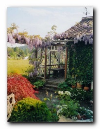 Kliknite za pove�avo slike