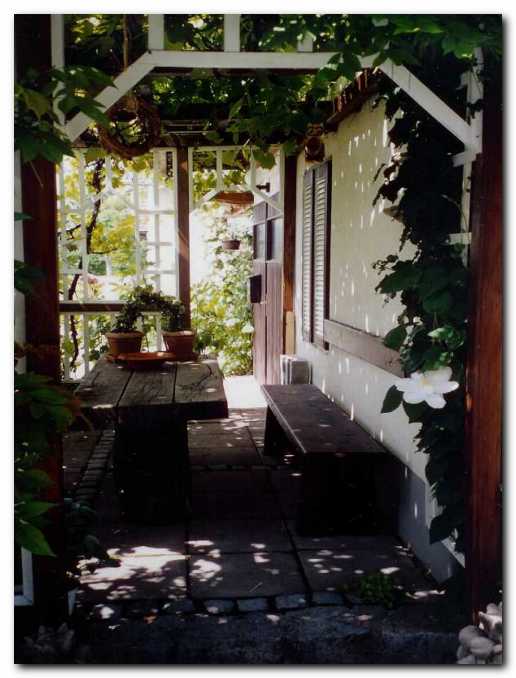 Po�ivali��e pod sen�no brajdo, ob steni<br>se vzpenja beli srobot (C. Mme Le Coultre).