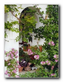 Kliknite za pove�avo slike