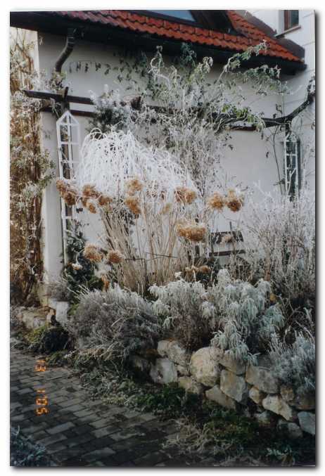 Pozimi, ko pade ivje na suha stebla,<br> se v soncu zalesketa ne�teto biserov.