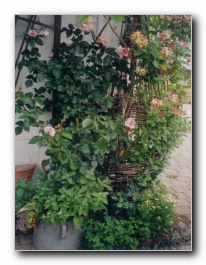 Kliknite za pove�avo slike