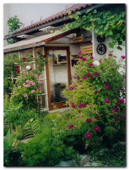 Ob zeli��nem vrtu je tudi majhen,<br>a nepogre�ljiv rastlinjak.