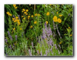 Kliknite za pove�avo slike